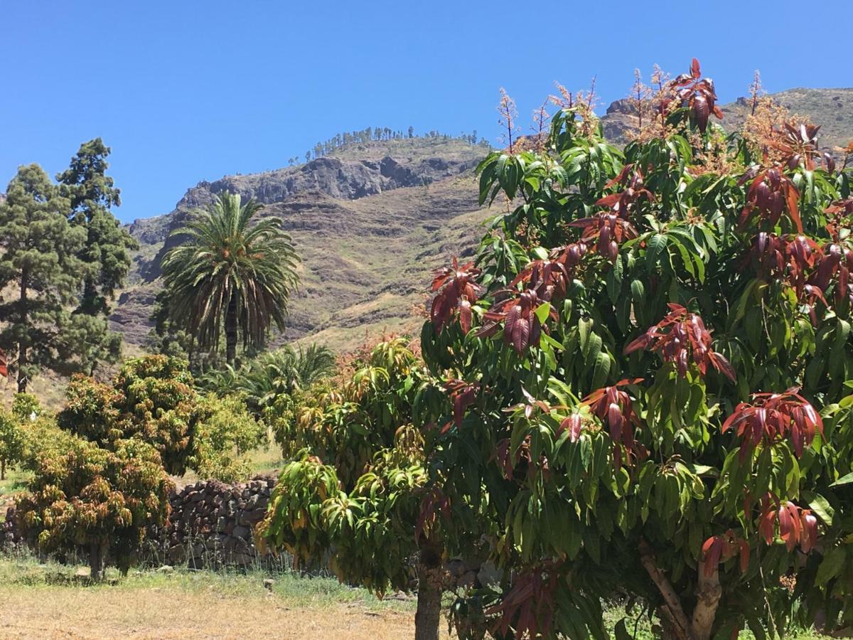 La Villa Mogán المظهر الخارجي الصورة